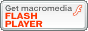 FLASHPlayer_E[h
